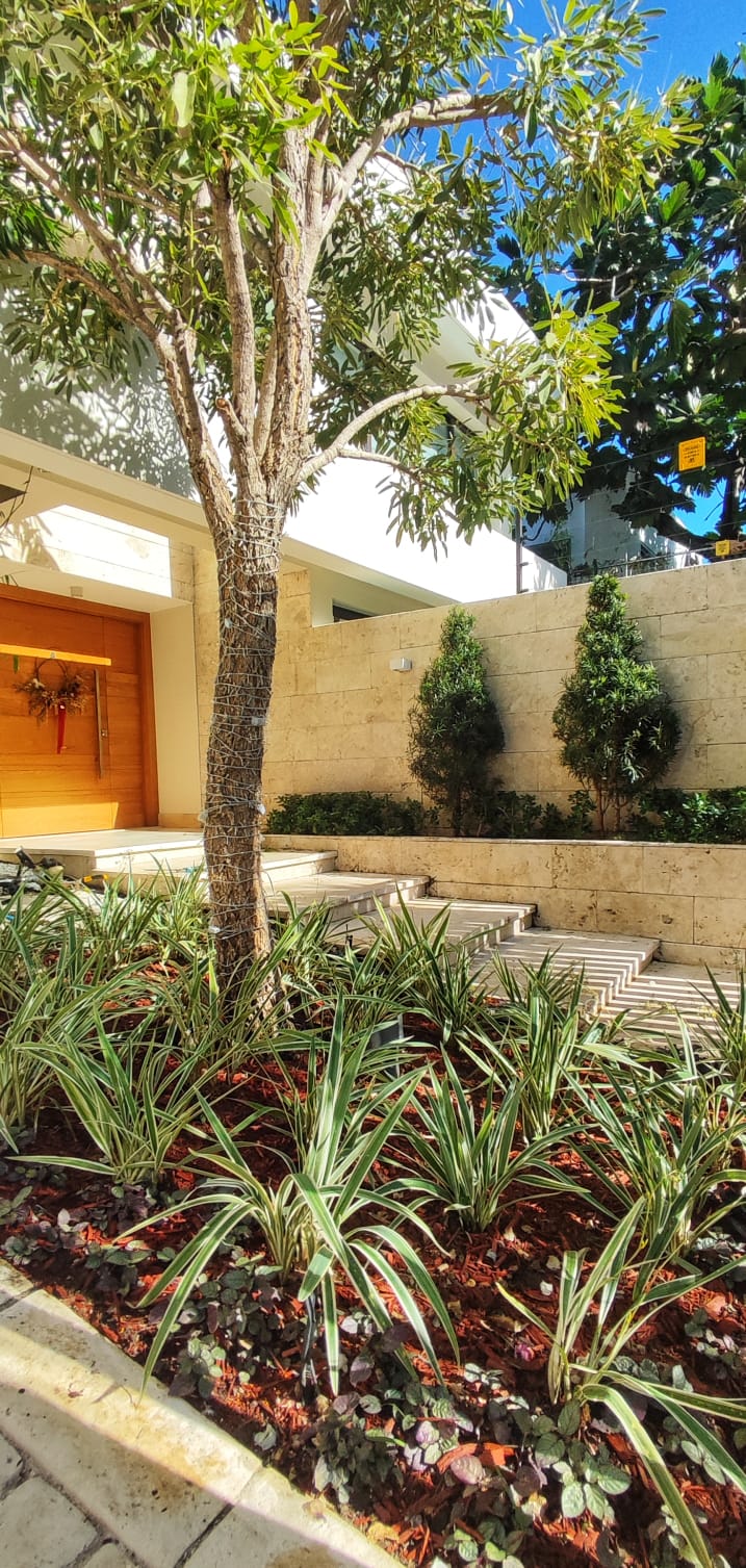 WhatsApp Image 2025-11-05 at 18.17.49_ea1bbaf2